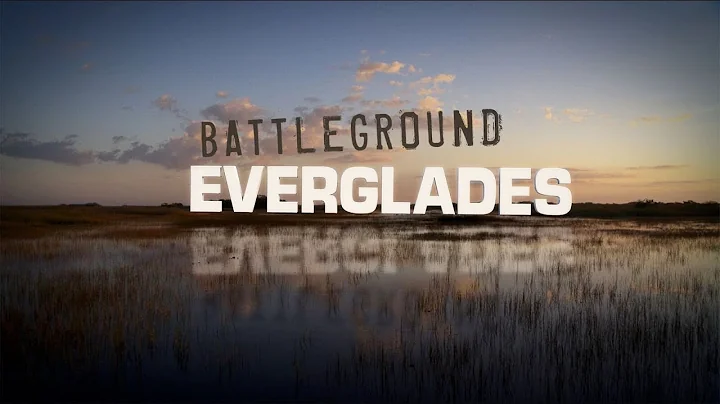 Battleground Everglades - Trailer