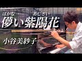 【小谷美紗子】儚い紫陽花/三角ピアノ(新宿住友ビル三角広場)