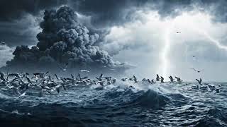 @UntamedEarthSeries They Fly Thousands of Miles to Survive | The Great Bird Migration 🐦