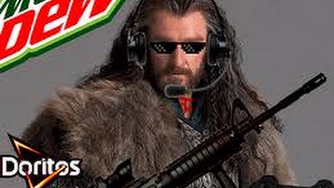 Thorin ROASTS fnatic and NIP