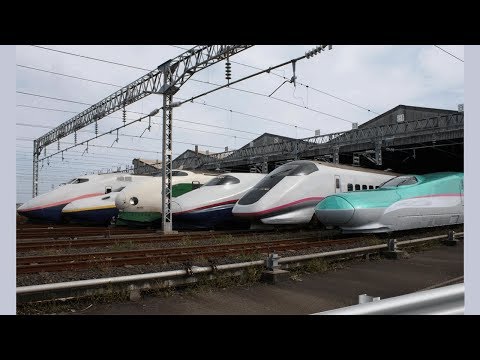 amazing different Shinkansen trains