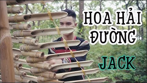 HOA HẢI ĐƯỜNG - JACK - PHIÊN BẢN ĐÀN TƠ RƯNG -COVER -  BẢN SẮC TÂY NGUYÊN- JACK - JACKETED VERSION