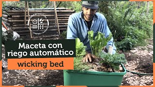 Macetas con riego automático en tu huerto  Wicking bed / Cama capilar