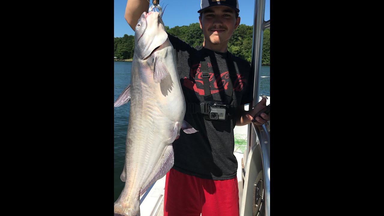 Joshua's Blue Catfish at Lake Norman YouTube