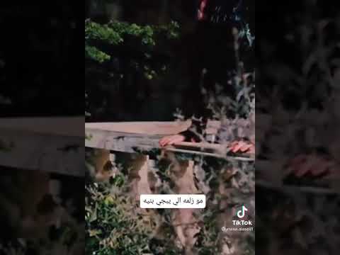 كلت بلكي يحس بية