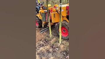 Tree planting for beginners: a simple guide to planting trees