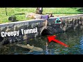 FINDING FISH In CREEPY HIDDEN TUNNEL For My Saltwater Pond!