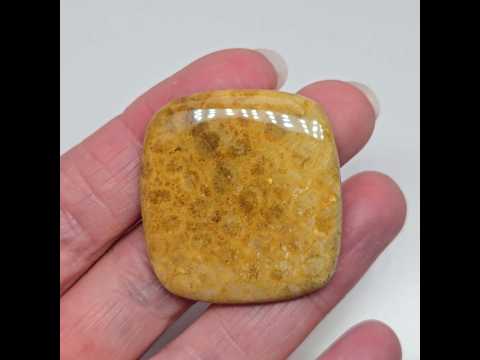 Скам'янілий корал - кабошон 73,5 ct, видео 1
