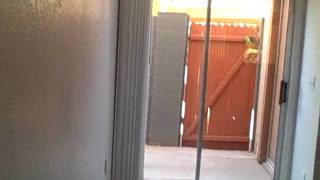 19601 n 7th st # 1050 $49,900.AVI