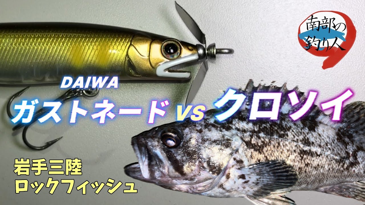 [岩手三陸ロックフィッシュ】ダイワ・ガストネードVSクロソイ