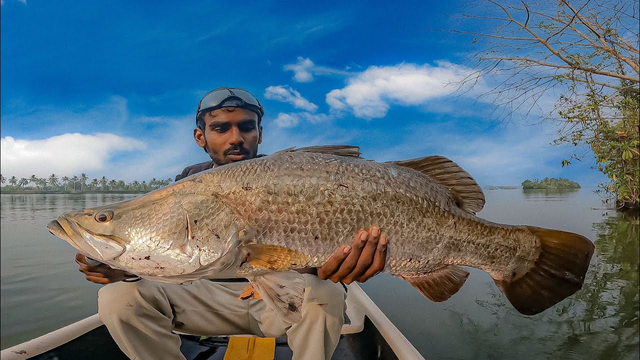 6kg ഉള്ള കിടിലൻ കാളാഞ്ചി പിടുത്തം.. 😳😱 | Barramundi fishing kerala | 2025