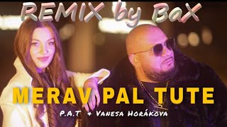 P.A.T. x Vanesa Horáková - Merav Pal Tute (REMIX by BaX)