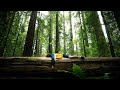 Pacific northwest  cinematic travel film  sony a7 iv