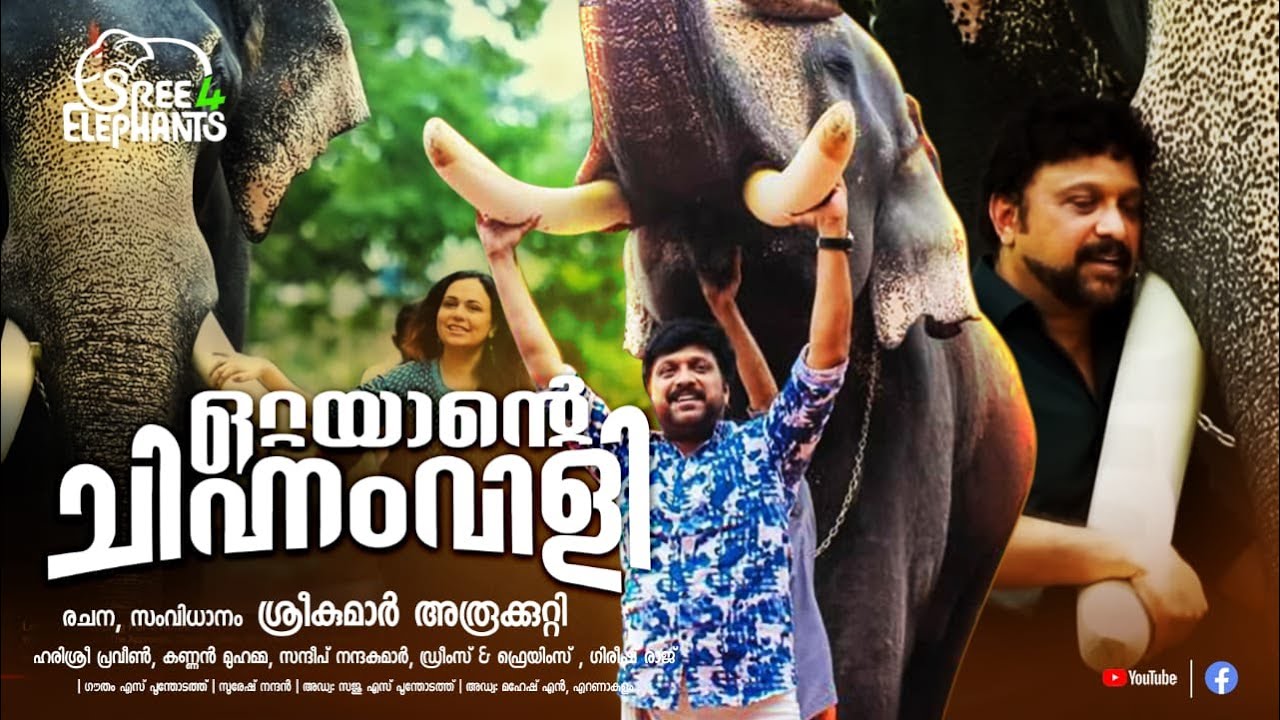 ഒറ്റയാൻമാരുടെ ചിഹ്നംവിളികൾ ...! ഒറ്റയാൻമാർ ഒന്നിക്കുമ്പോൾ ....! | K. B. Ganesh Kumar