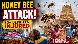 Over 30 Devotees Injured in Honey Bee Attack During Temple Visit in Chitradurga’s Challakere Taluk