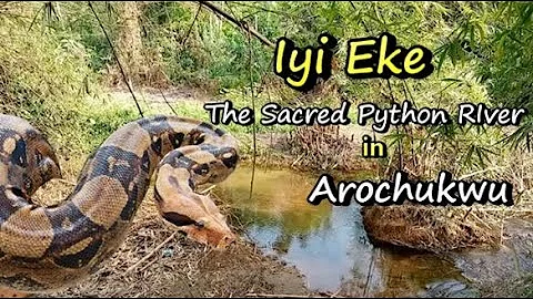 Scary! I visited "Iyi Eke" the sacred Python River in Arochukwu