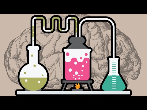 The Experiment That Teaches People How To Learn