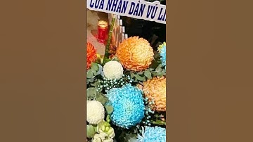 Lễ 49 ngày của nghệ sĩ tài hoa Vũ Linh / Nhân vlog