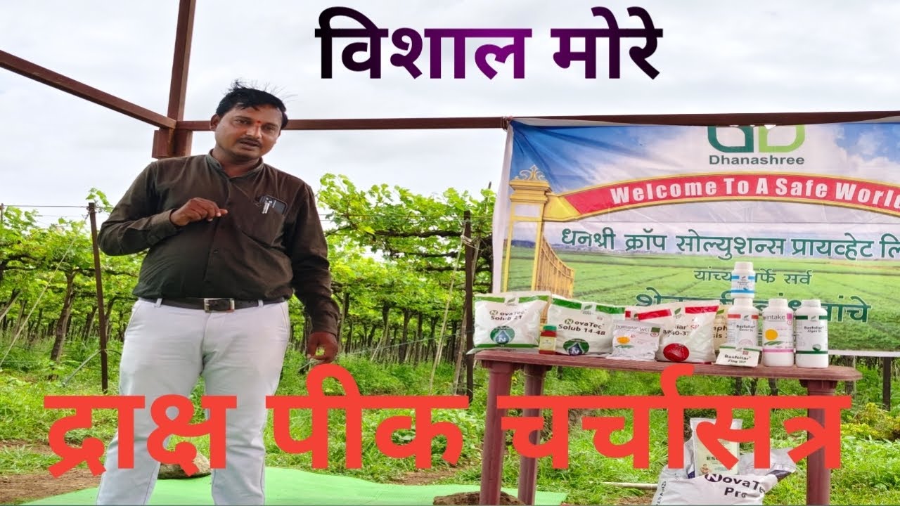 |द्राक्ष पीक चर्चासत्र| मार्गदर्शक विशाल मोरे|