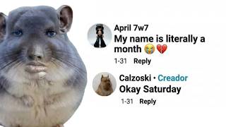 Dumbest People Commenting On Internetcaldrukishots