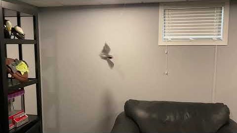 Mechanical flying bat with flapping wings