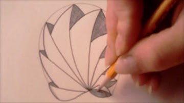 How to draw tanglepattern Phicops