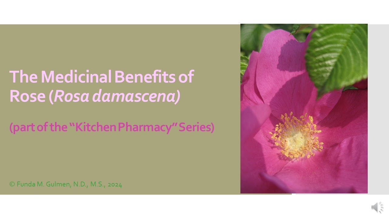 The Medicinal Benefits of Rose (Rosa damascena)