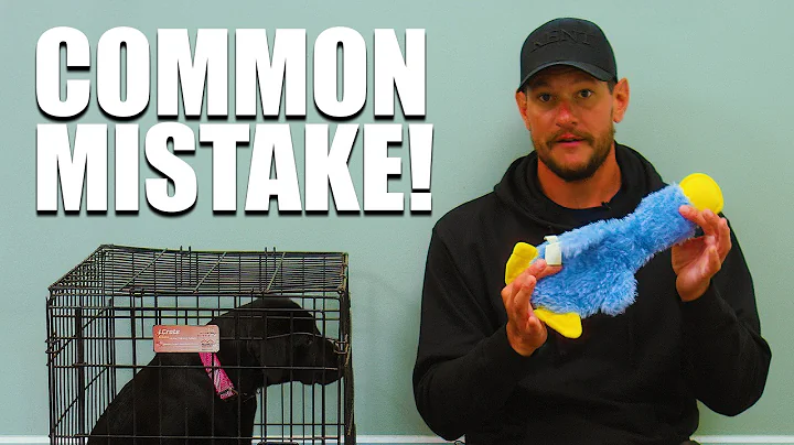 Crate Training Mistakes That Could Ruin Your Puppy!