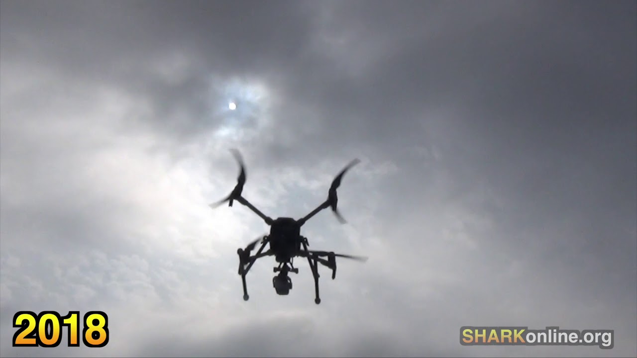 horseshoe bend Drone Team Exposes Cruelty at US Meat Animal Research Center