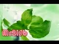 疲れた心に~癒しのオルゴール メドレー 1