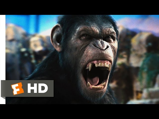 Rise of the Planet of the Apes (2011) - Caesar Speaks Scene (1/5) | Movieclips class=