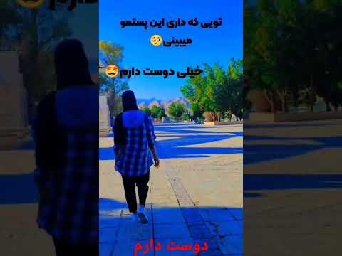 کلیپ زیبا دوست دارم گل میخرم برات کلیپ عشق عاشقی گل زیبا دختر شیرازی ایرانیان تهران آهنگ