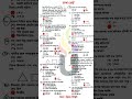 SSC 2026 history mcq solution dhaka board | এসএসসি ২০২৬ ইতিহাস নৈব্যক্তিক সমাধান ঢাকা বোর্ড