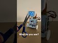 AI robot Robbi recognizes objects with its camera!  #ai #diy #raspberrypi #robot
