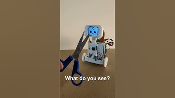 AI robot Robbi recognizes objects with its camera!  #ai #diy #raspberrypi #robot