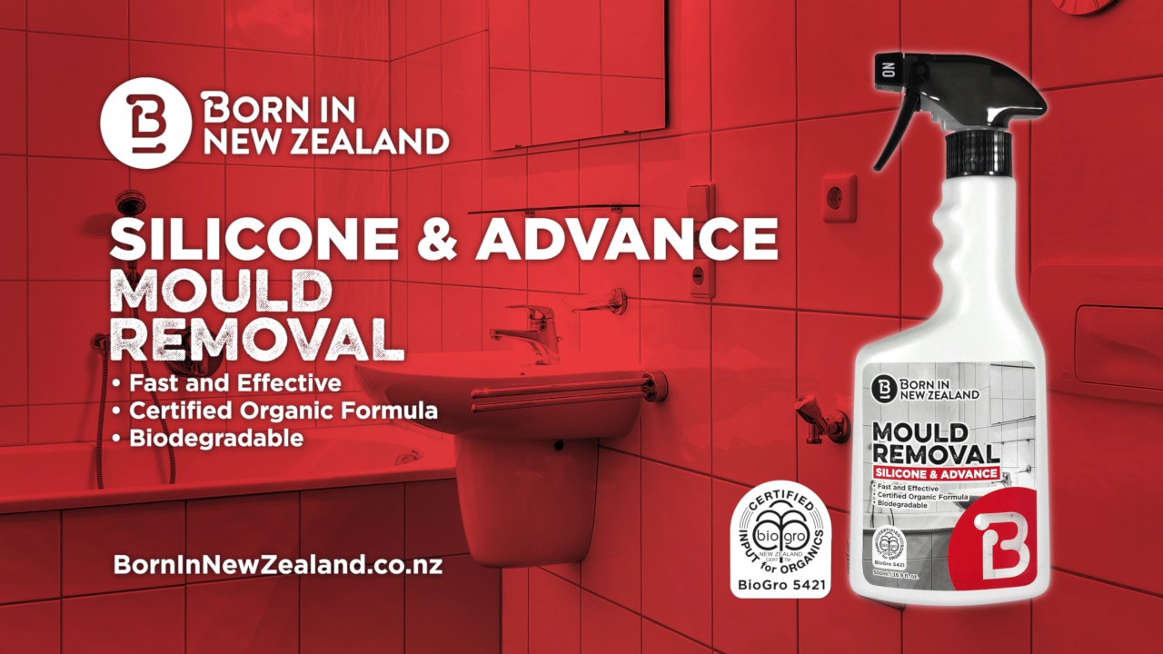 How To Clean Mould Off Bathroom Ceiling Nz