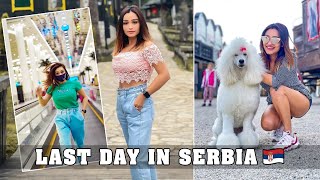 Paid 9000 for the covid test #9 | serbia