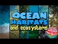 Habitats et cosystmes ocaniques