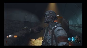 BO3 Custom Zombies - Let