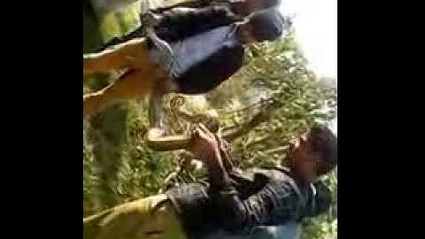 pragatinagar ma python (PASHUPATHI TOL)