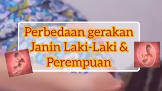 Perbedaan Gerakan Janin Laki Laki dan Perempuan