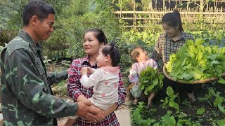 Download Lagu Harvesting Vegetables on the Farm: Mother and Daughter Earn Extra Income to Upgrade Bathroom MP3