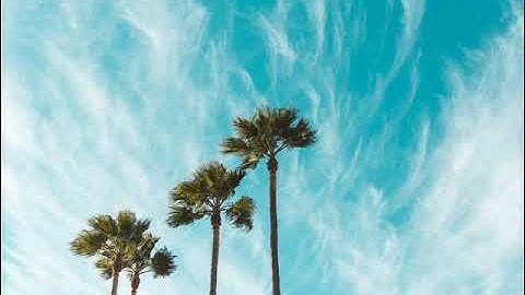 111 سورة المسد | القارئ عبدالعزيز الحمري