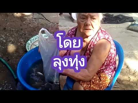 จับปลาได้เยอะ ขายดีแย่งกันซื้อ ทุ่งพุทรา ตอนที่ 154 ຈັບປາຫຼາຍ ຂາຍດີ, ຂູດຮີດຊື້  ທົ່ງພຸດຊາ