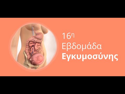Βίντεο: Πώς είναι η 16η εβδομάδα της εγκυμοσύνης