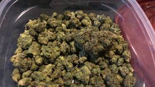 STRAIN APPRECIATION: GG4 aka GORILLA GLUE