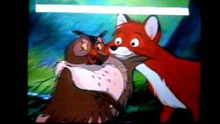 Sorrita Tod Y Tobby