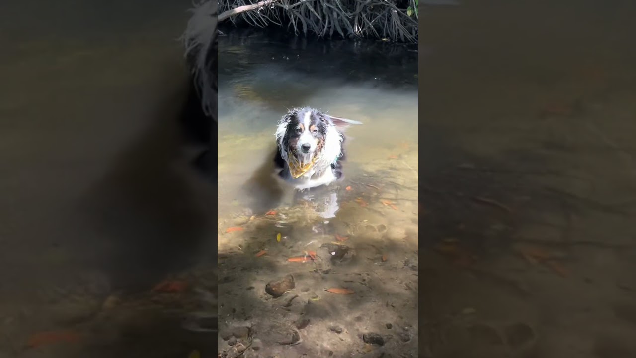 Your August Hearthling bundle awaits! 🫐🥒🫙✨