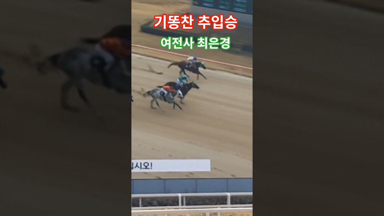 추은경 살아있네^^#경마 #말#달려라말 #shorts #horse