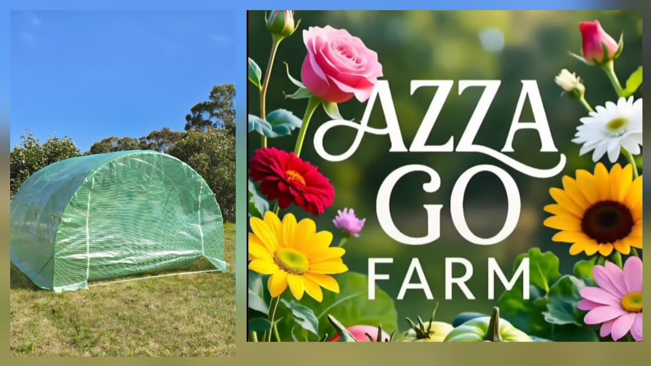 AZZA GO FARM Ep 2 THE GREENHOUSES - YouTube